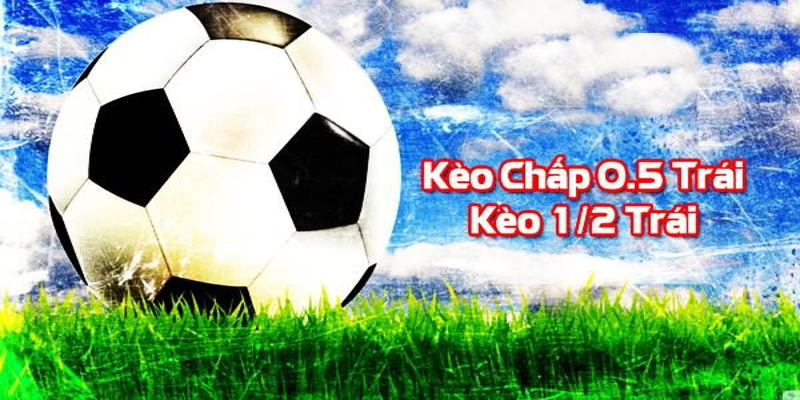 Giới thiệu tỷ lệ 0.5 handicap