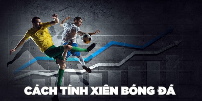 Chi tiết cách tính tỷ lệ Multiple Bets cơ bản