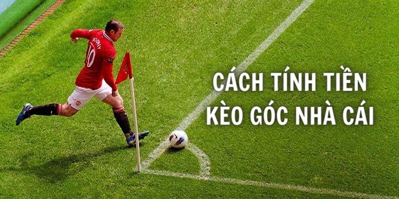 Hướng dẫn cách tính tiền kèo góc nhà cái siêu đơn giản