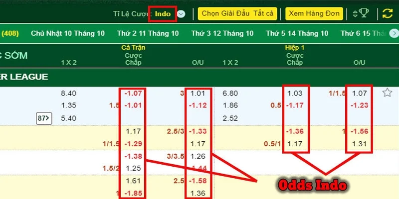 Indo Odds tỷ lệ cơ bản trong cá độ bóng đá 