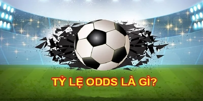 Khái niệm Odds là gì? 