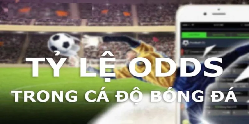 Odds là gì