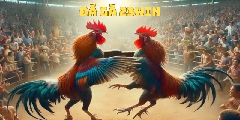 Đá gà 23win